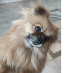 Анна Р