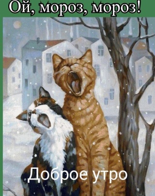 Ирина В