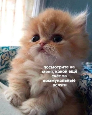 Данила Иванов