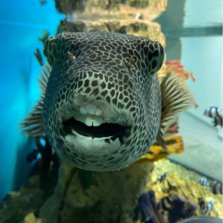 Сергей Петров