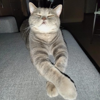 Лина Фишер