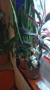 Фотография Яна 4