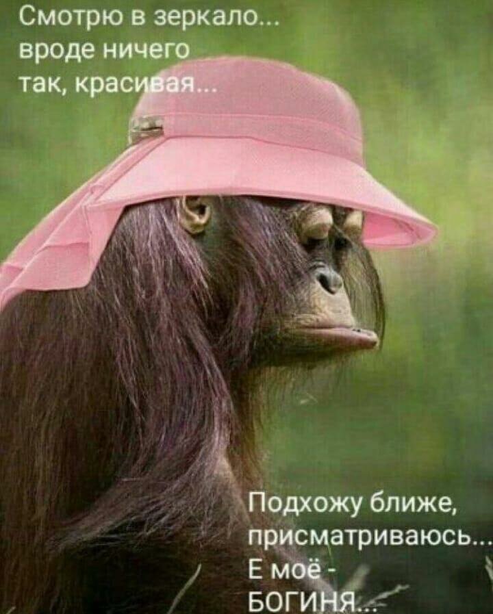 слайд
