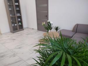 Фотография Eco clinic 3