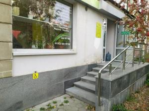 Фотография Лайм 2