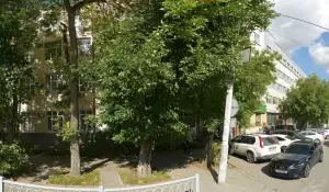 Фотография Palo santo 2