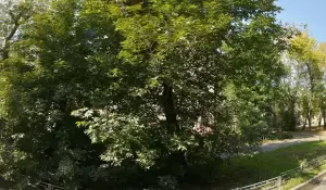 Фотография Панама 0