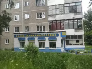 Фотография Кактус 2