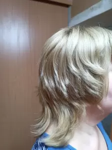 Фотография Кактус 3