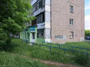 Фотография Кактус 5