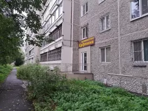 Фотография Кудряшка 4