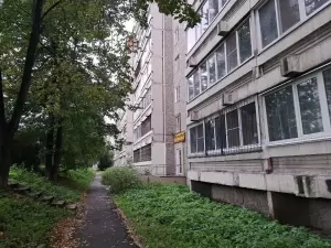 Фотография Кудряшка 5