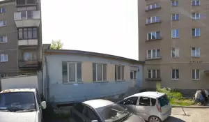 Фотография Мадам 0