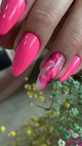 Фотография WizArt 0