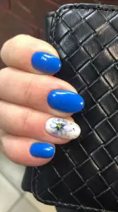 Фотография Чио Чио 1