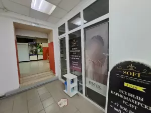 Фотография Sofi 0