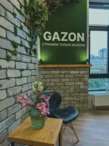 Фотография Gazon_brz 4